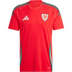 Adidas Wales 2024 Youth Home Shirt